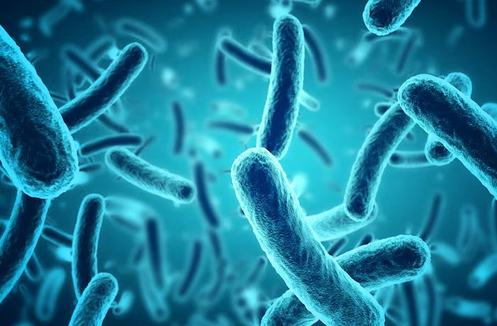 La importancia de la microbiota en la salud de tu piel