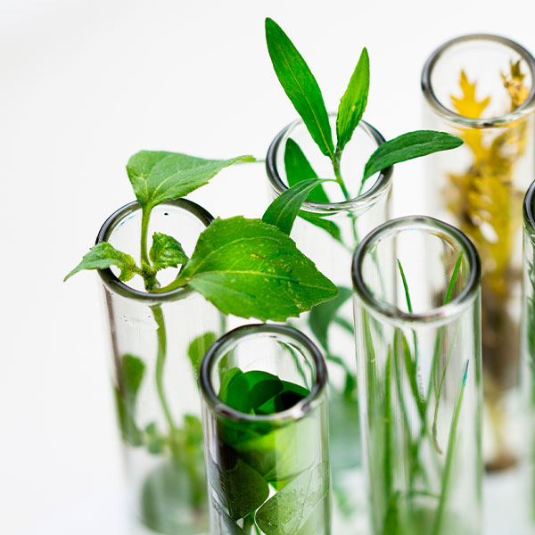 Cosmética sostenible: el futuro en tu piel