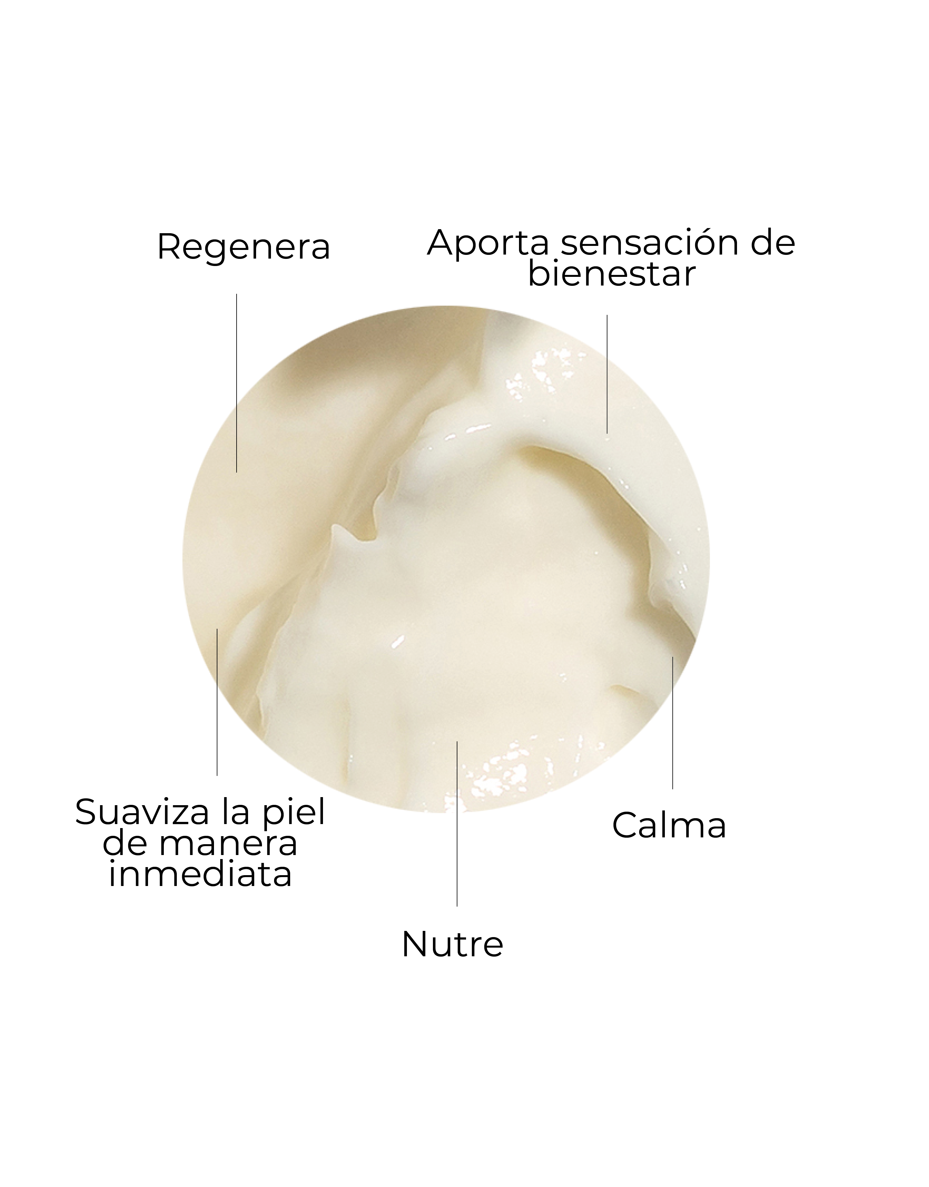 CemaSkinFactor_3.png