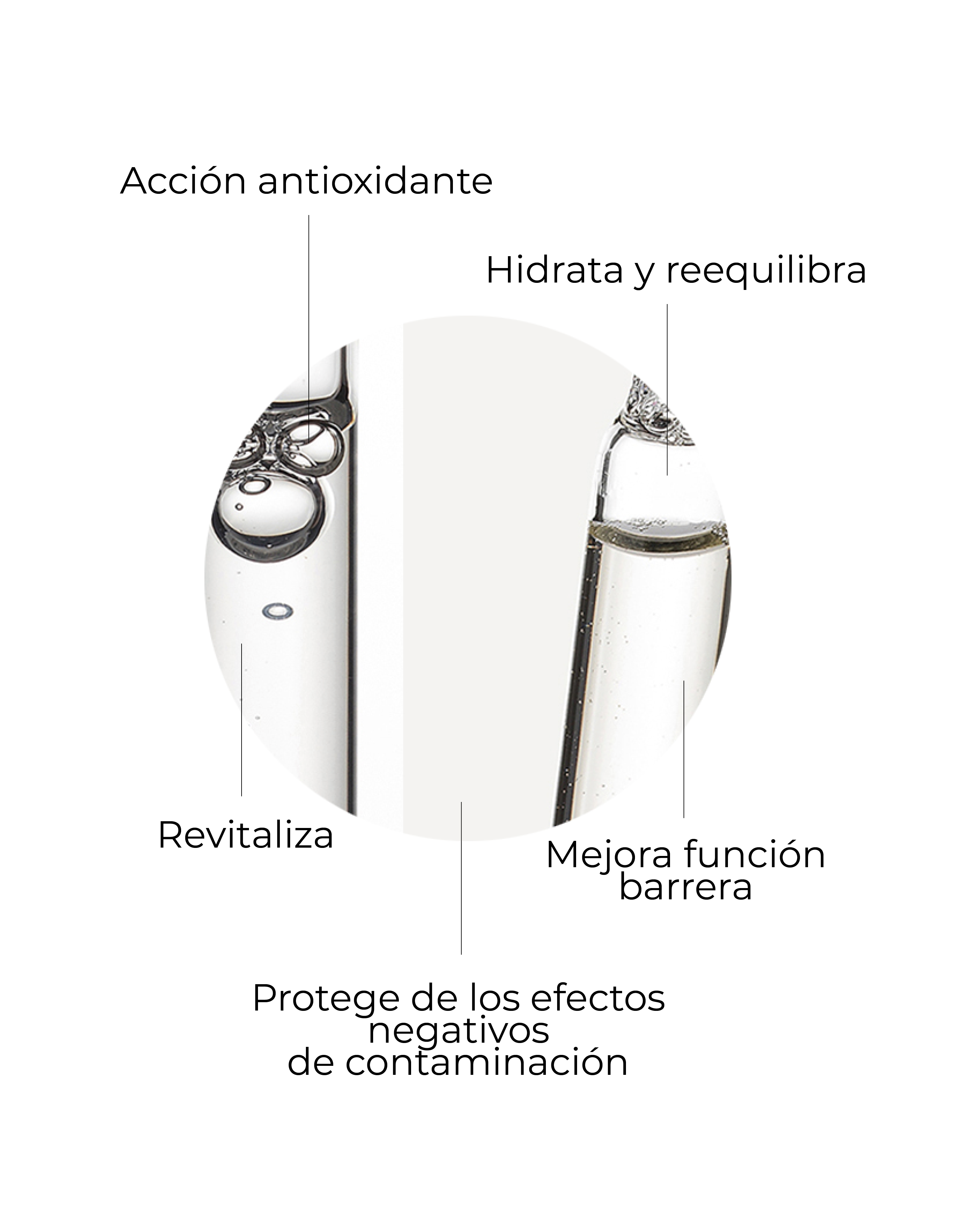 Duo_Antioxidante_3.png