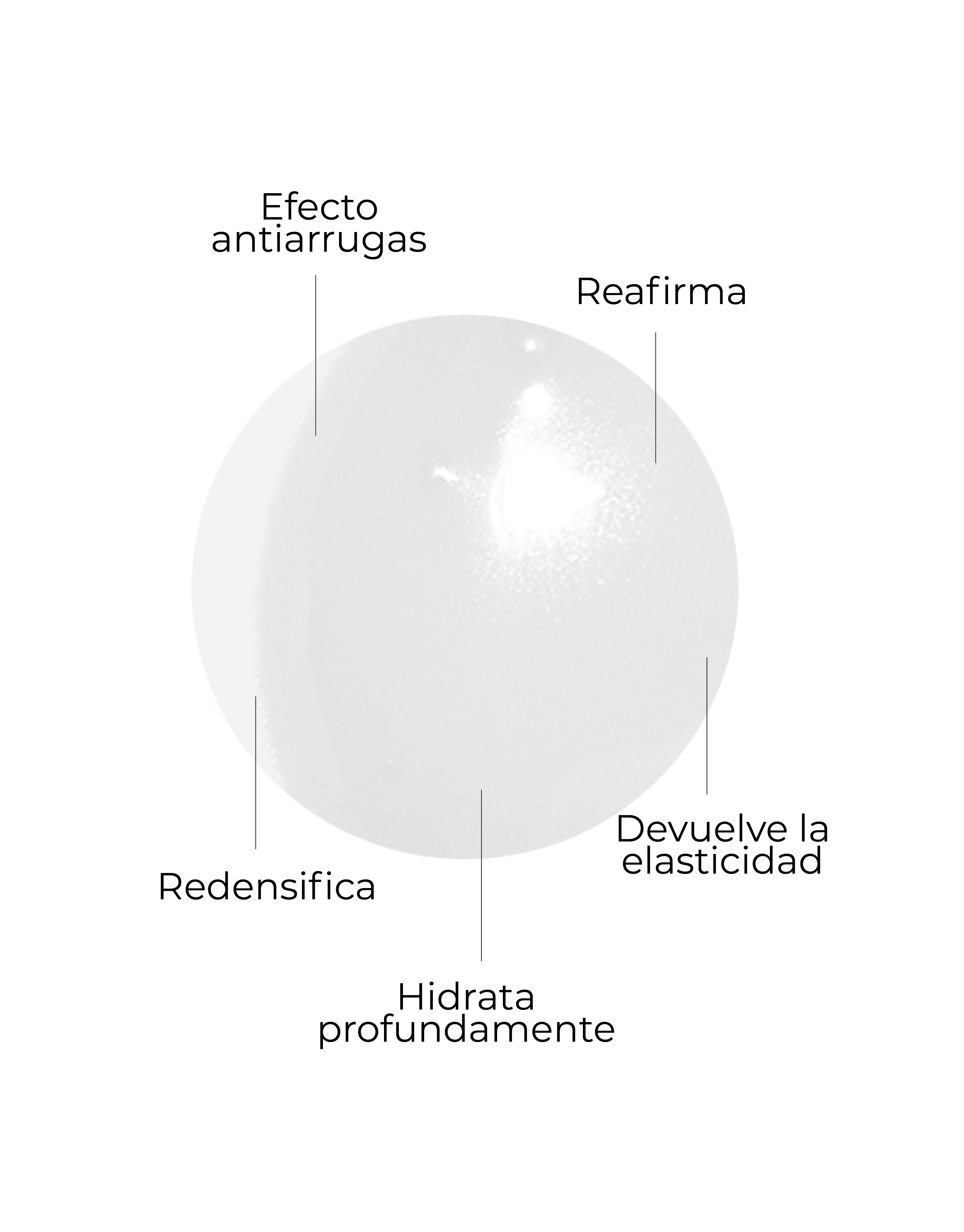 Serum_CellularPlus_3.png