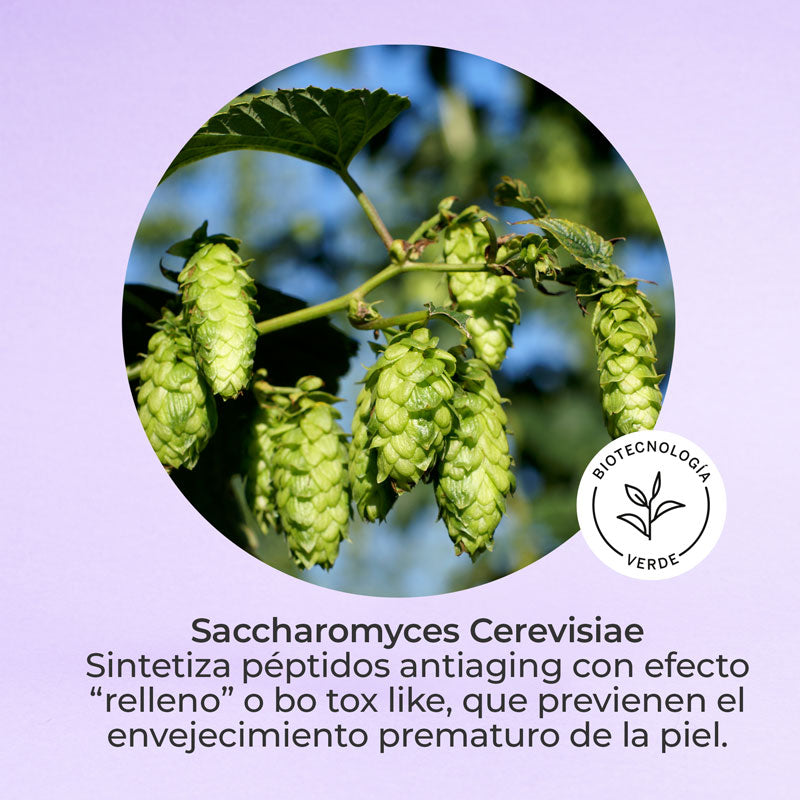 Pack Antiaging Global