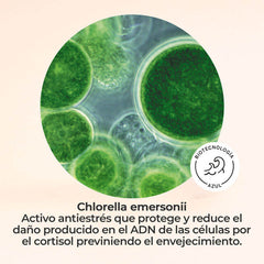 Pack Luminosidad
