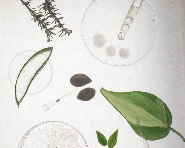 Biotecnología: el futuro de la cosmética