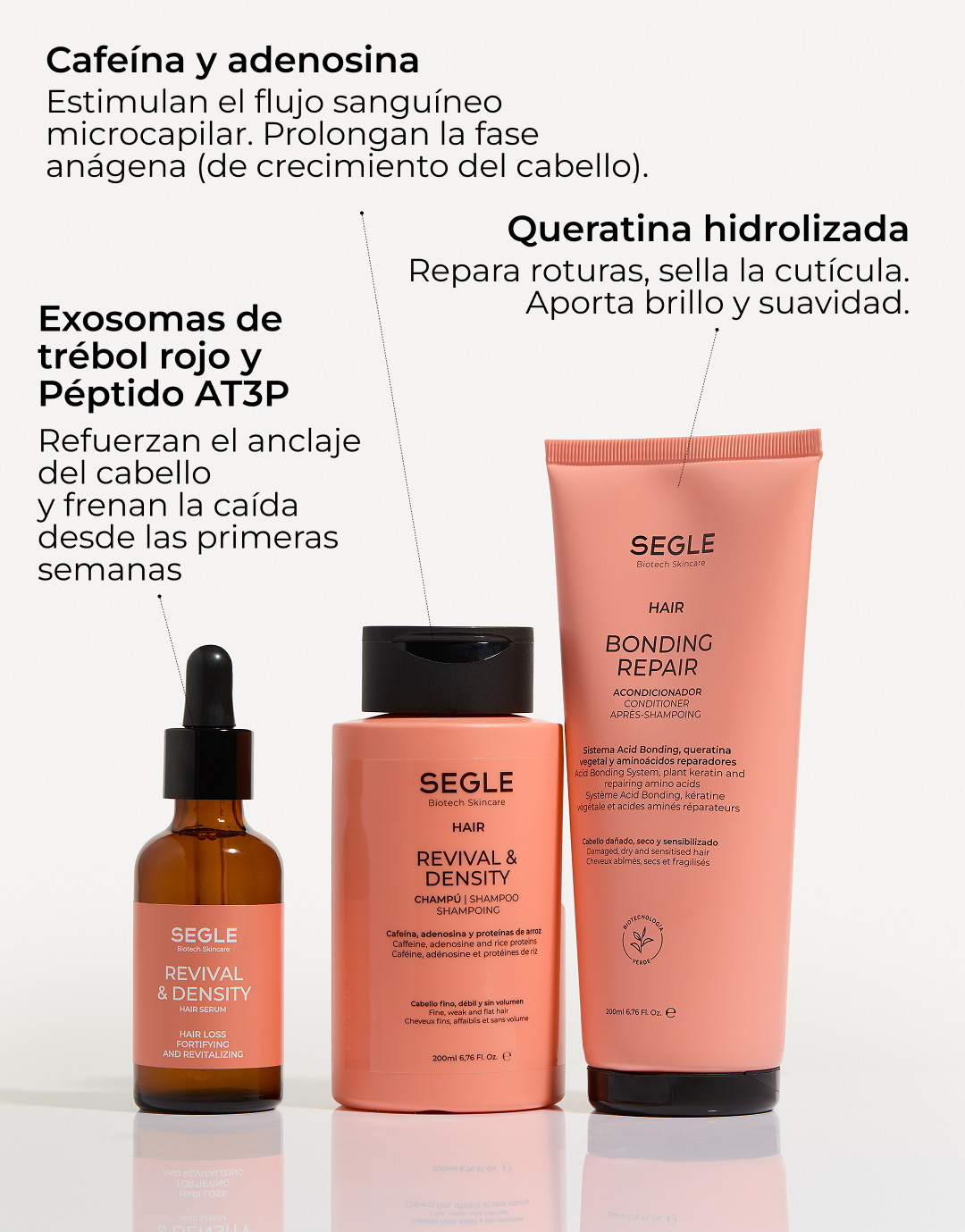 Rutina Capilar Completa Revival & Density