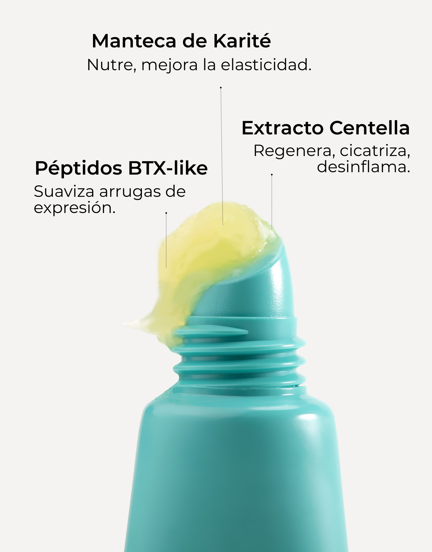 Infografía con ingredientes y beneficios con imagen del labial con textura sin color