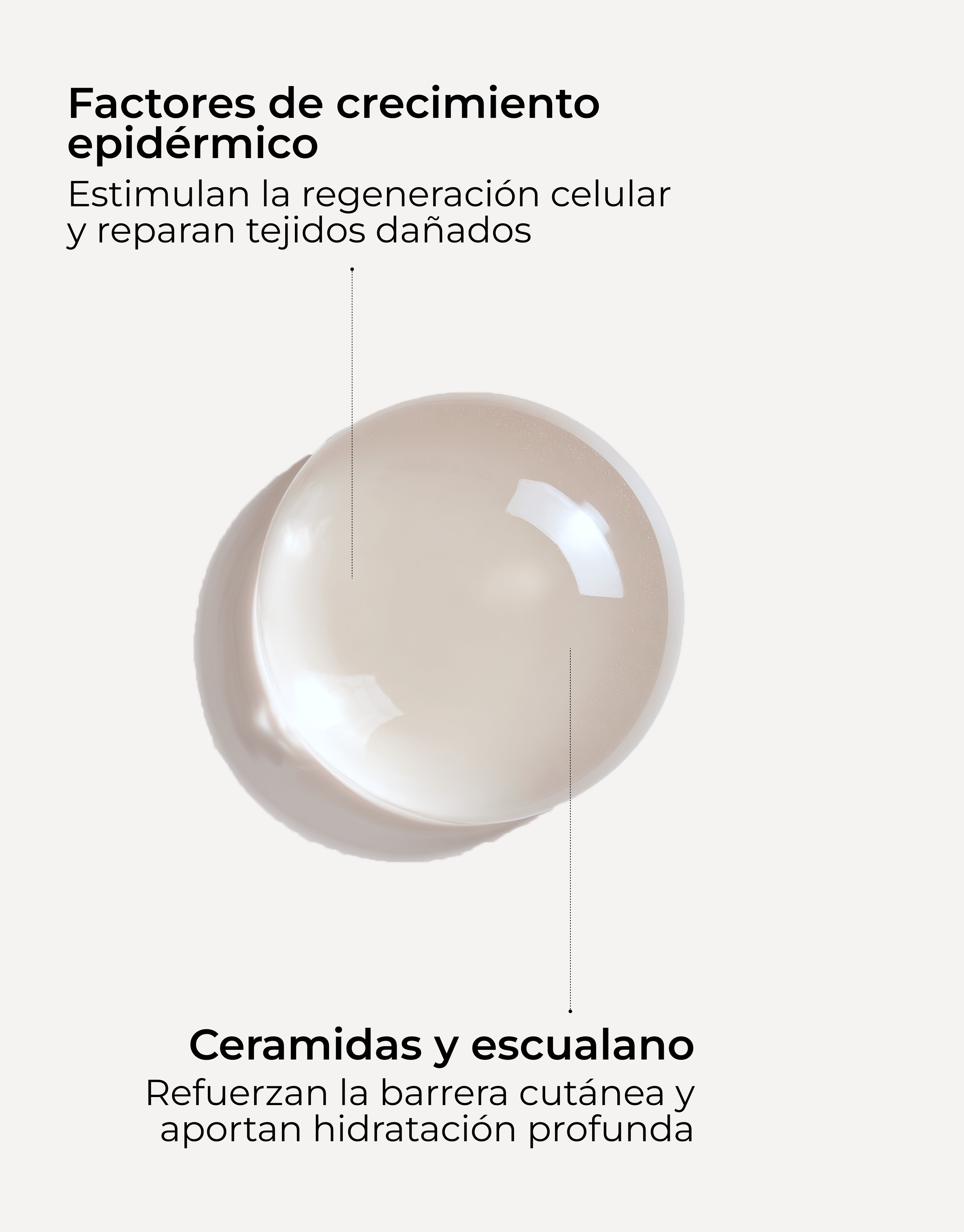Gel Crema Skin Factor Barrier