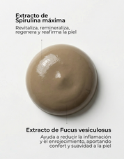 Mascarilla Purificante