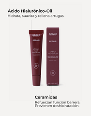Infografía con ingredientes y beneficios con imagen del labial y su envase color burdeos