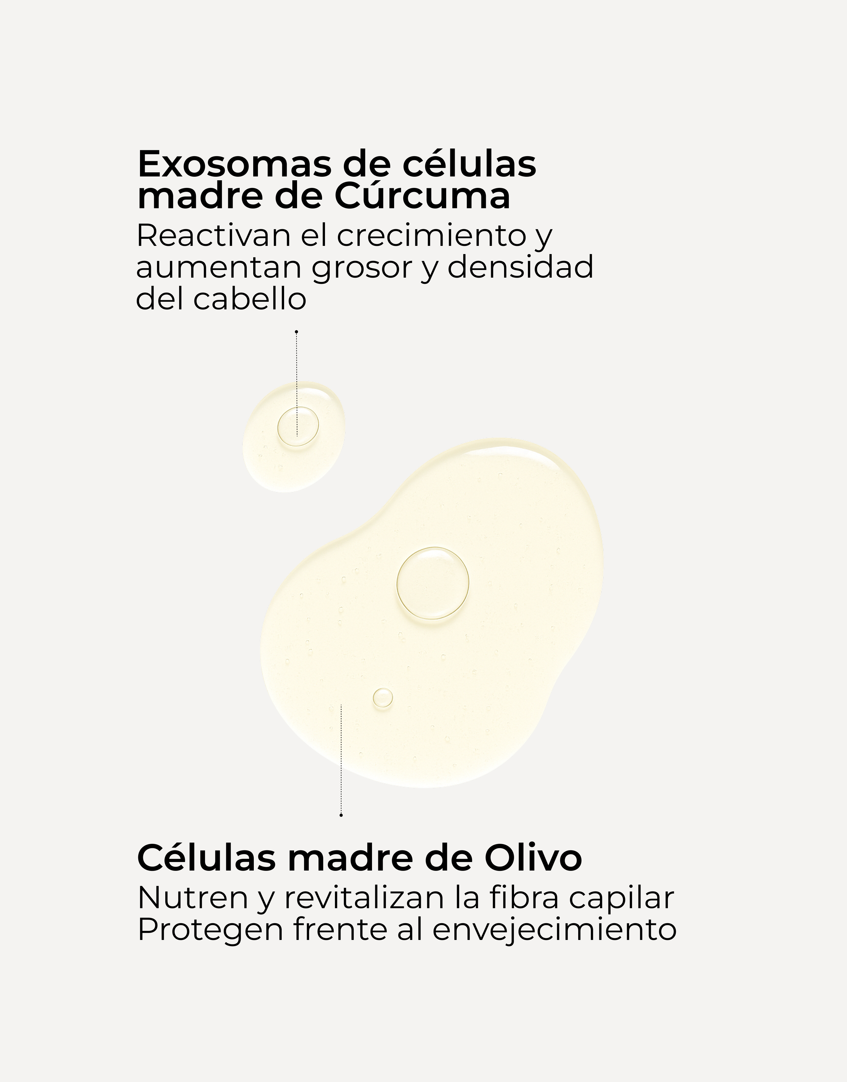 Sérum Capilar Revival & Density Pack 3x2