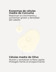 Sérum Capilar Revival & Density Pack 3x2