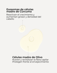 Sérum Capilar Revival & Density
