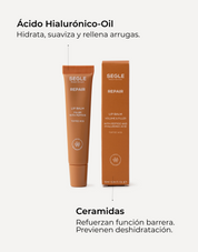 Infografía con ingredientes y beneficios con imagen del labial y su envase color caramelo