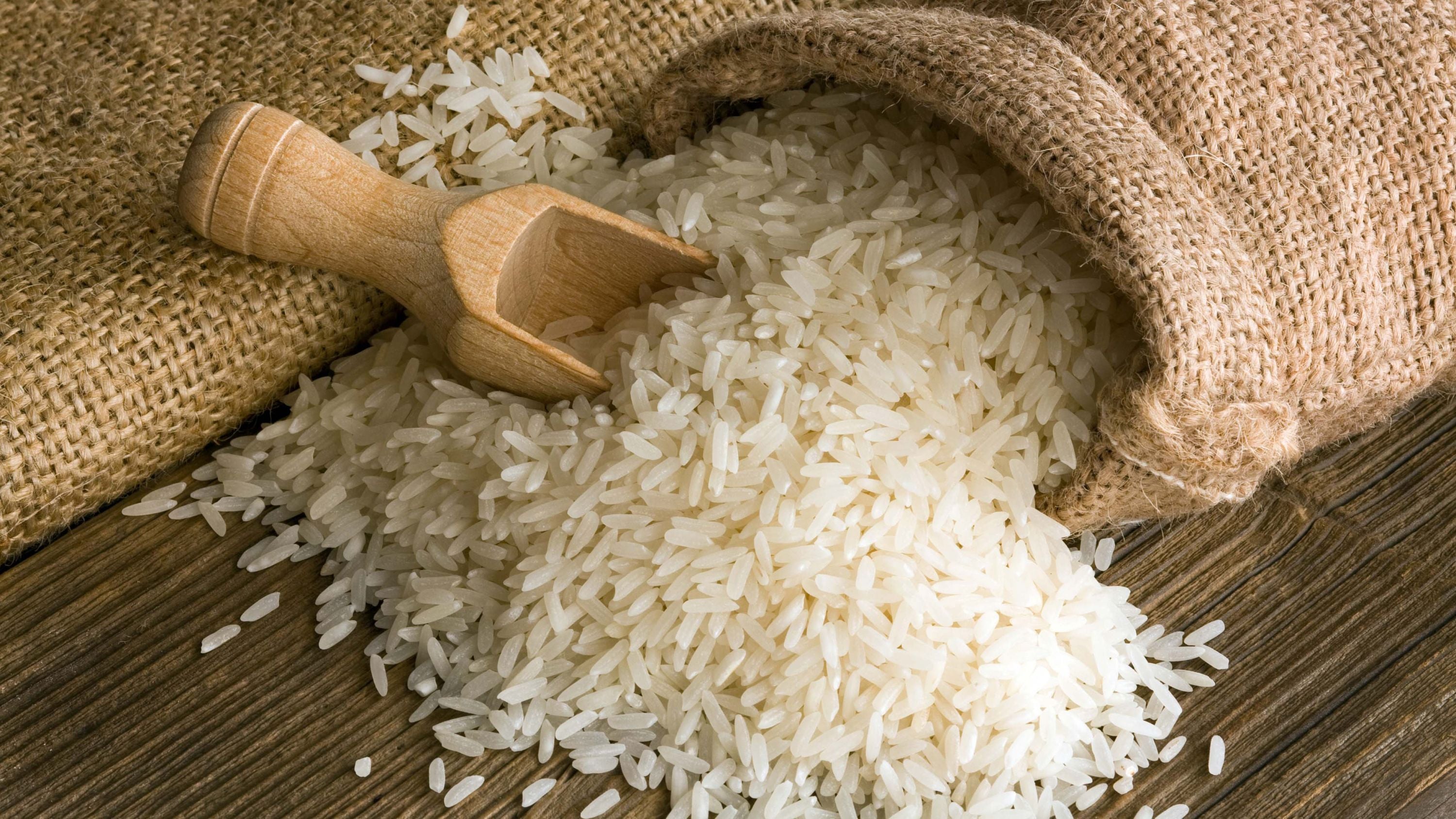 Proteína hidrolizada de arroz