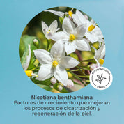 Pack Regenerador Piel Sensible