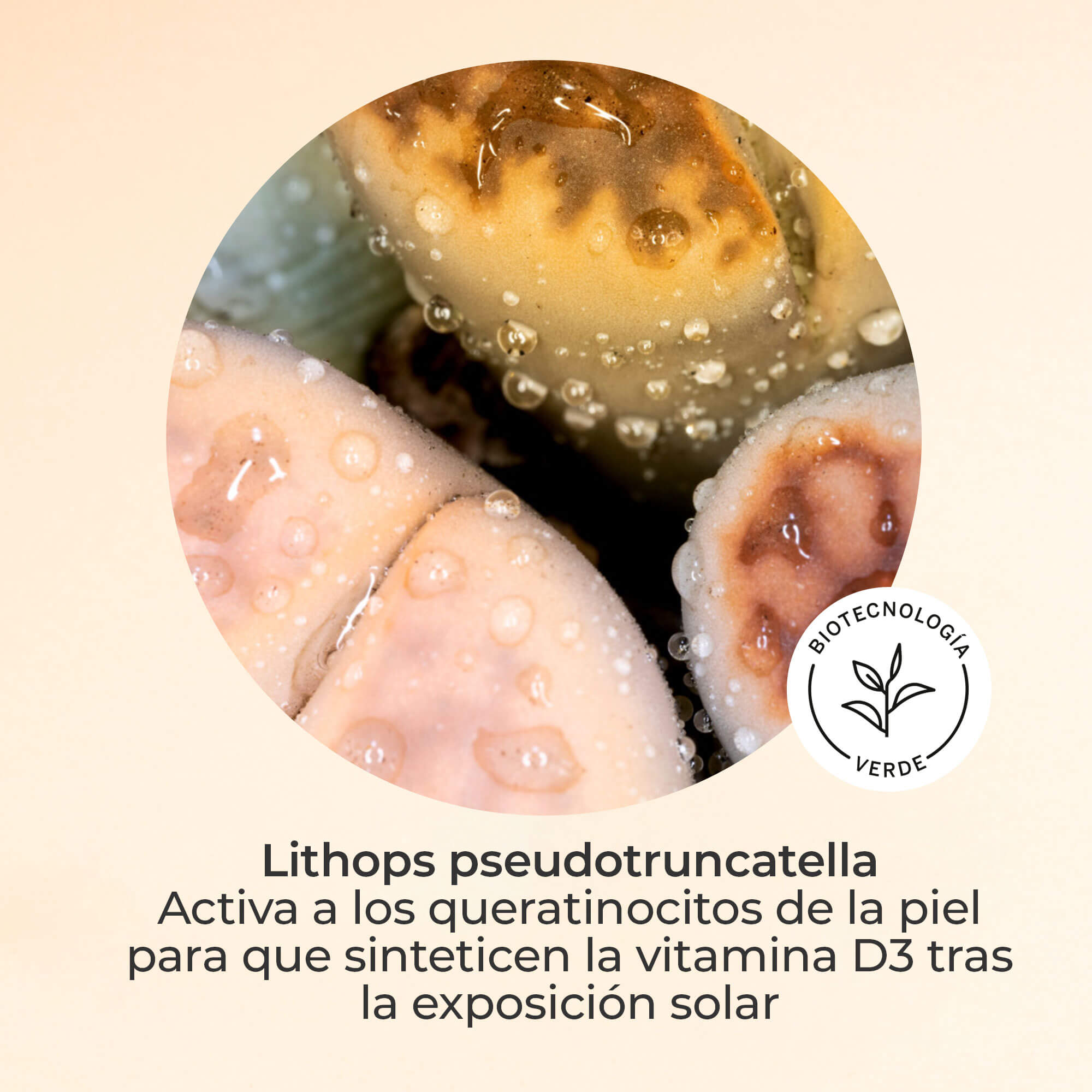 Pack Vitamin D SPF 30 + Pure Retinol